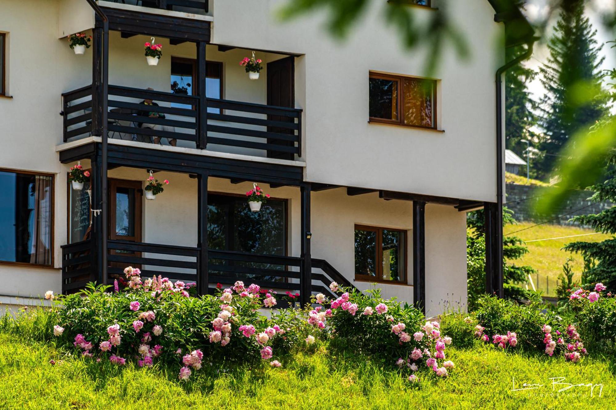 Tihuta Retreat Hotel Piatra Fantanele Exterior photo