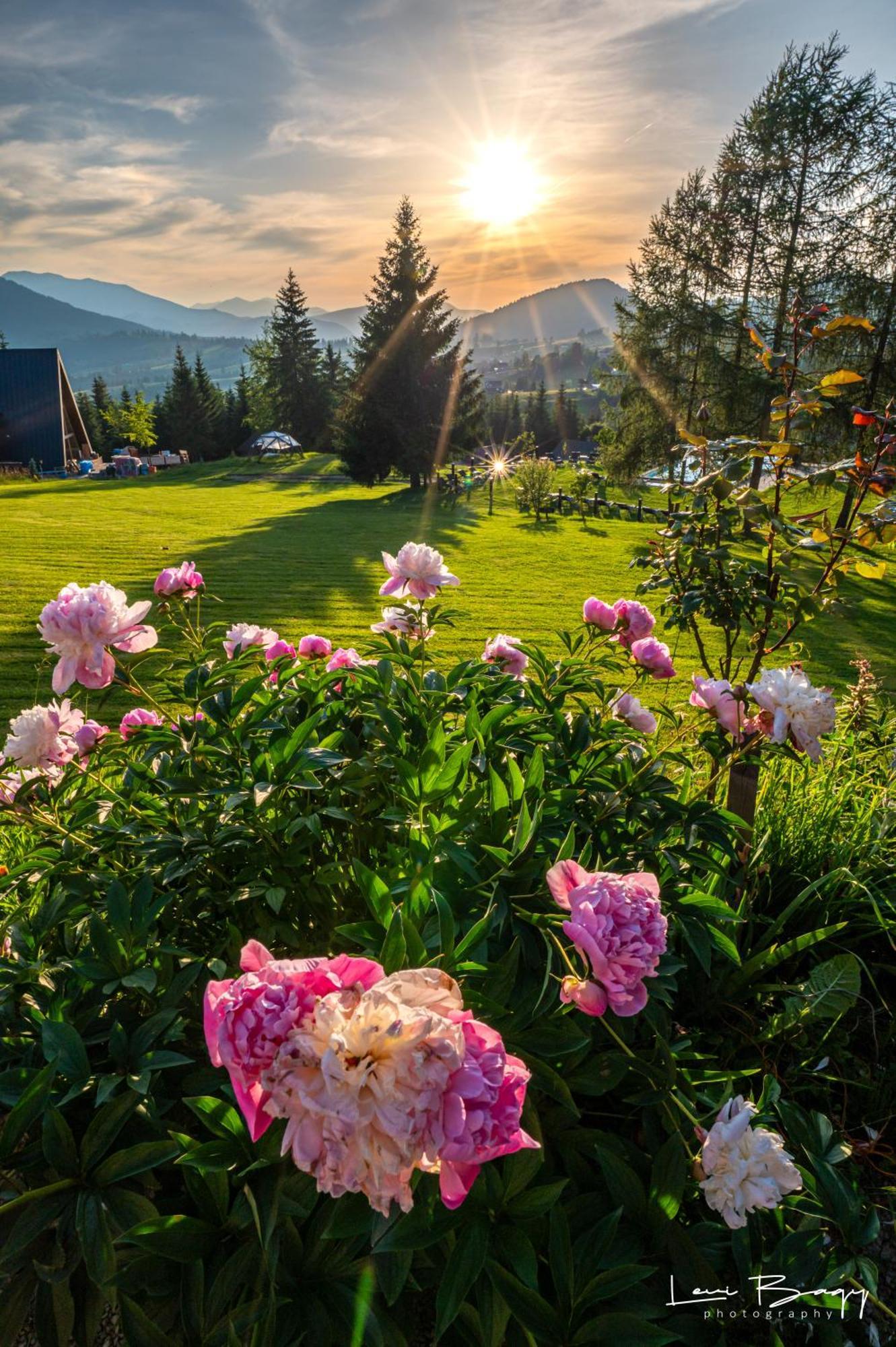 Tihuta Retreat Hotel Piatra Fantanele Exterior photo